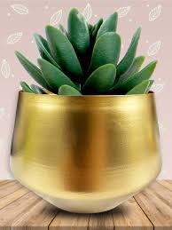 Metal Pots
